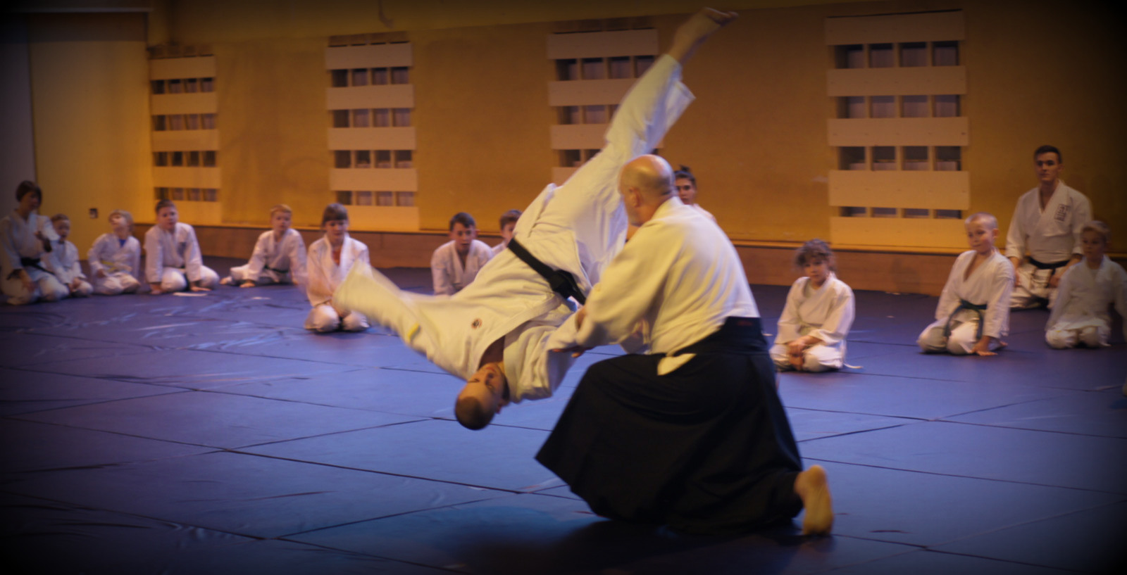  Nabór i zapisy do „Europejskiej Federacji Yoshinkan Aikido”